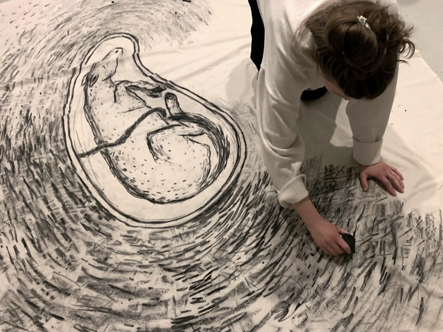 Taiteilija piirtää hiilellä suurta piirrosta kankaalle lattialla. Piirroksessa näkyy kuin hevosen varsa olisi kohdussa.