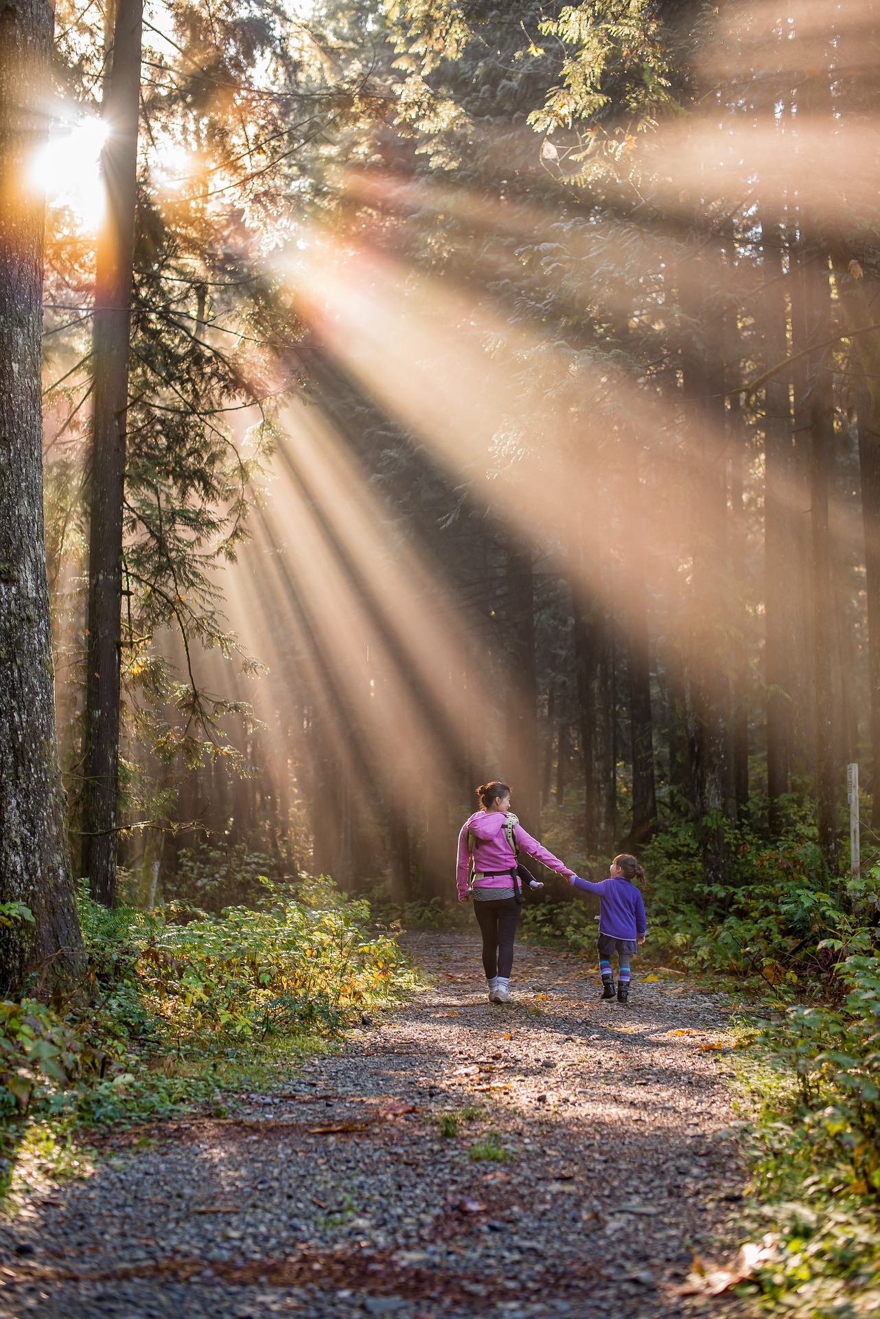 Lapsi ja aikuinen kävelemässä metsässä. Auringonvalo siivilöityy puiden lomasta kauniisti metsäpolulle.