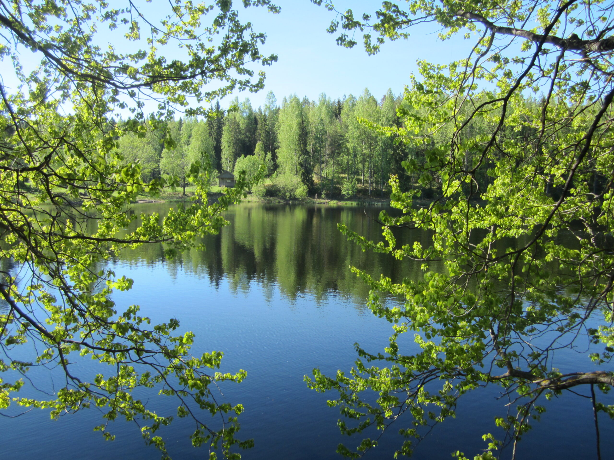 Ylöjärven uudet ympäristönsuojelumääräykset astuvat voimaan 1.11.